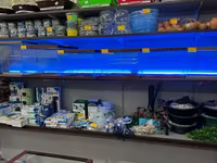Ձկան օրիգինալ ակվարիում — foto 4