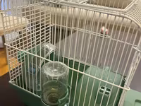 Hamster ucun qefes satilir, elave oyuncaqlar da var. Icini deyismek — 照片 2