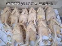Serebris Çolpa əti. Tez bişən. 1 ədədi - Çəkisi: 500-600 qr = 6 ₼ - — foto 3