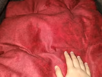 🐾 Pişik üçün rahat və yumşaq yataq satılır! 🐾 ✨ Çox az istifadə — foto 5