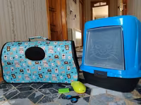 Ev pişiyi üçün aksesuar dəsti KOMPLEKT SATILIR !!! - Qapalı pişik — foto 1