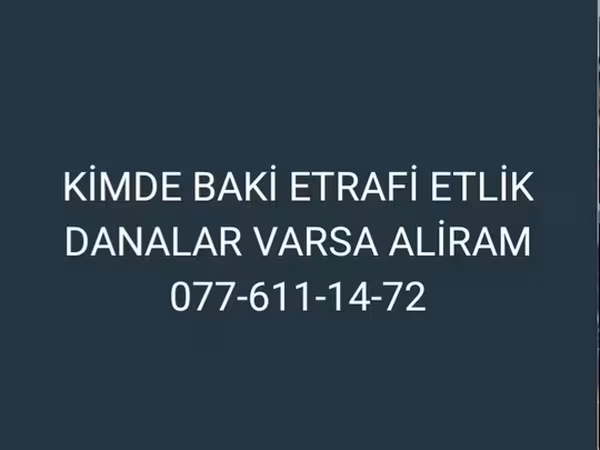 İribuynuzlu mal-qara (partiya, cinsi göstərilməyib), Mal-qara