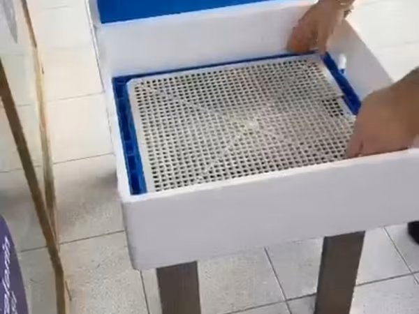Cüce çıxarma aparatı toyuqa ehdiyac olmur isteyen olsa elaqe saxlasın