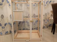 Papuqay,dovşan,hamster,şinşila,bildirçin,cücə,xamyak,pişik,quş,tısbağa — Foto 1