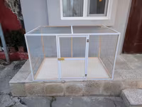 Papuqay,dovşan,hamster,şinşila,bildirçin,cücə,xamyak,pişik,quş,tısbağa — Foto 2