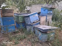 QİYMƏT: Razılaşma yolu ilə Arıçılıq üçün taxta təhnələr və — फ़ोटो 1