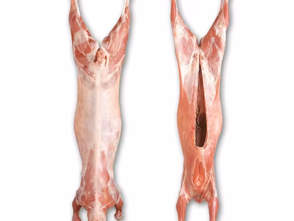 Cabro, Cabras