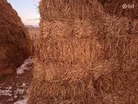 Ցորենի սալոմ 1,10 1,20 տուկեր — الصورة 2