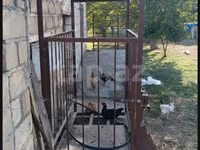 Metal mal və inək çəkmək üçün tərəzi - İstiqlal dəmirdən yığılmış — الصورة 1