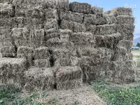 Խոտի տուկ բարձր որակի — फ़ोटो 5
