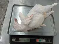 Тушка кур 2 сорт зам сибагро — Foto 1
