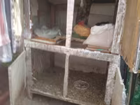 HAZİR BİZNES . guş saxlamg ucun dam. 2- ki mertebeden ibaret dir — फ़ोटो 5