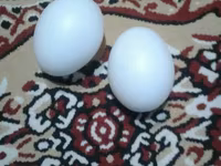 Damazlıq, Pulsuz çatdırılma, Ünvandan götürmə, Ödənişli çatdırılma — Foto 2