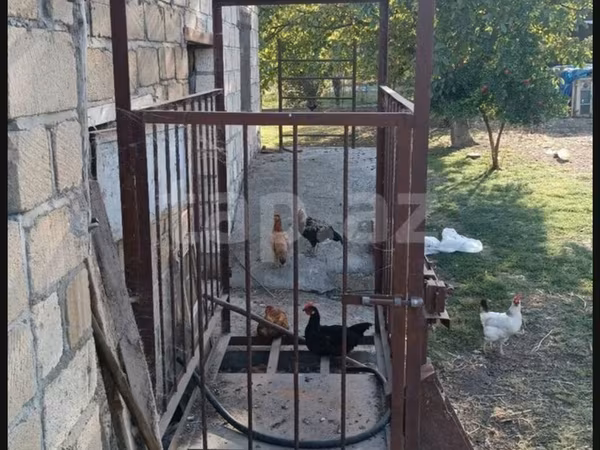 Metal mal və inək çəkmək üçün tərəzi - İstiqlal dəmirdən yığılmış