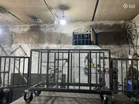 Սայյլակ խոզերի և այլ կենդանիների համար — foto 3