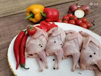 Լորի միս (թարմ և սառեցված) — foto 5