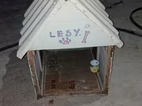 İt evi (künc damlı) - Material: taxta karkas, üstü rənglənmiş — الصورة 1