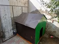 Böyük ölçülü it evi - Material: möhkəm taxta karkas, üstü — फ़ोटो 1