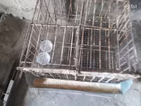 Բլուդեր, ինկուբատոր, բույն փոքր, բոլորը միասին — الصورة 1