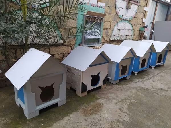 Salam yuvalar pişik ve balaca itlər üçün təzədi balacadan böyüyə