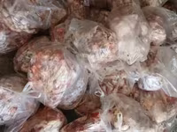 Վոսկոր Հավի մեջք և լուլա վոսկոր շան կեր — foto 2