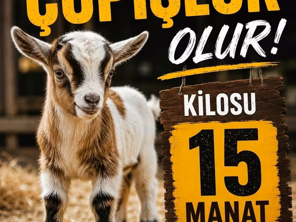 Goats (batch, sex not specified), Goats