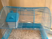 Kiçik heyvan qəfəsi – hamster, siçan və ya digər gəmiricilər üçün. - — photo 1