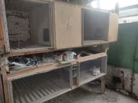 Satırm 150.300.350.400 — Foto 3