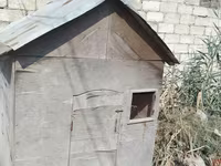 Taxta toyuq/broyler yuvası (mini tövlə) - Material: qalın faner — Foto 5