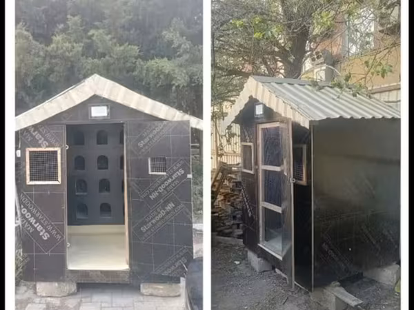 Quş yuvası Bahali diklerden bahali meterialdan yiqilib zehmet haqqi