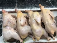Quails — Foto 3