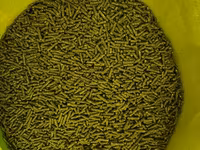 Vindem mincare pentru sinsila granule de 2.5mm produs in Ungaria 16lei(chinchila,sinsila,шиншила) — 照片 2