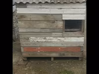 Göyerçin üçün quşxana satılır ünvan bine qiymet 50 azn içinde 20 dene — foto 1