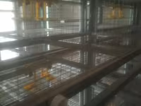 Sənaye tipli quşçuluq qəfəs sistemi - Material: sinklənmiş metal — 照片 4