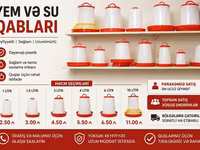 🐔 Toyuq, cücə və göyərçinlər üçün yem və su qabları satılır 📦 Su — photo 2