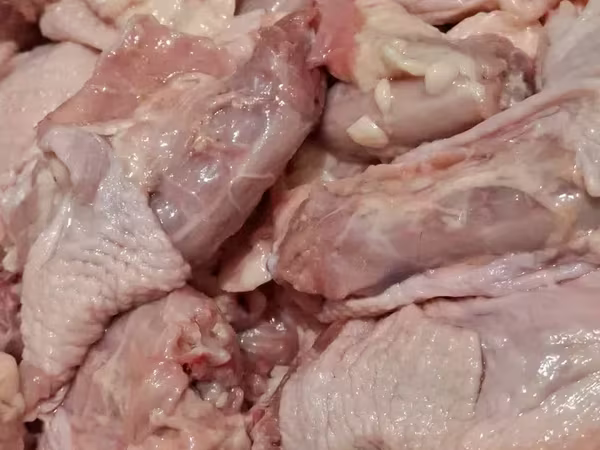 Հավի վիզ մսեր Շան կեր Ոսկոր