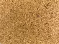 Սոյա Սոյայի քուսպ շռոտ Ժմիխ — फ़ोटो 2
