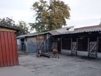 Kozel, Kozy — foto 2