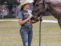 Caballo, Quarter Horse — foto 5