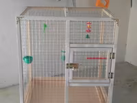 Papuqay,dovşan,hamster,şinşila,bildirçin,cücə,xamyak,pişik,quş,tısbağa — foto 1