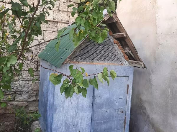 Goyercin yuvasi 30dene rahat tutur