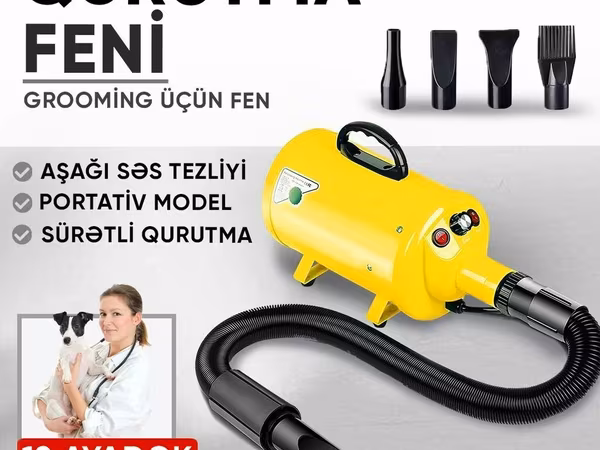 Grooming üçün qurutma feni