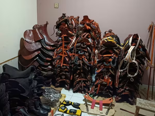 At avadanlıqları – tam dəst yəhər və at qoşqu ləvazimatları Təsvir: -