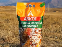 Ракушка кормовая морская — foto 4