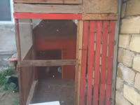 Salam bu quşxan satılır - Konstruksiya: taxta karkas, damı şiferdən — foto 2