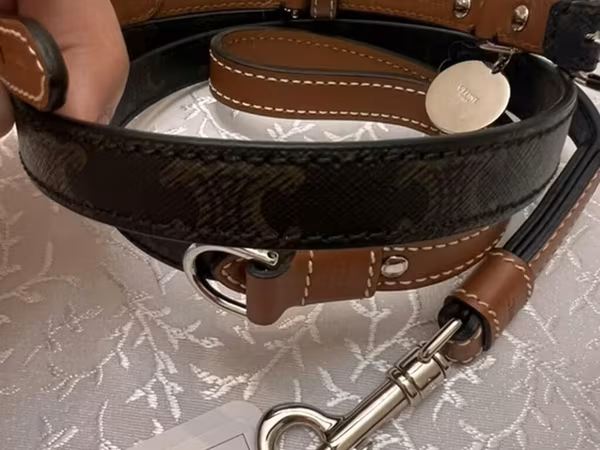 Orijinal Celine Triomphe it dizaynlı it üçün qoşqu və zəncir dəsti -