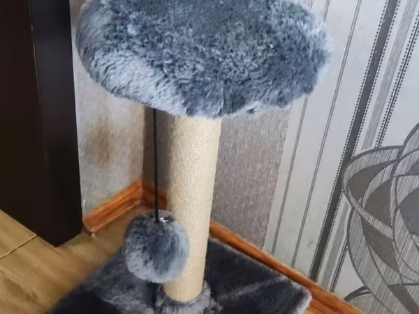 Pişik üçün latok,yem qabı,pufik