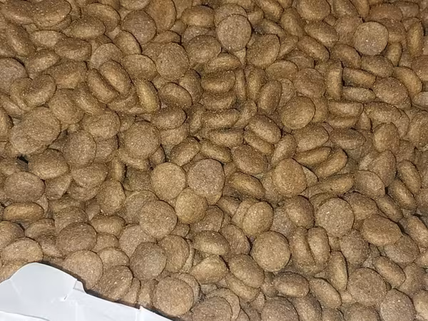 Çox keyfiyyətli Rusiya istehsalı olan pişik quru yemi satılır Başqa