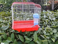 Qırmızı-ağ quş qəfəsi - Material: metal barmaqlıqlar və plastik — 照片 2