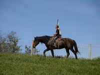 At, Racking Horse — foto 2